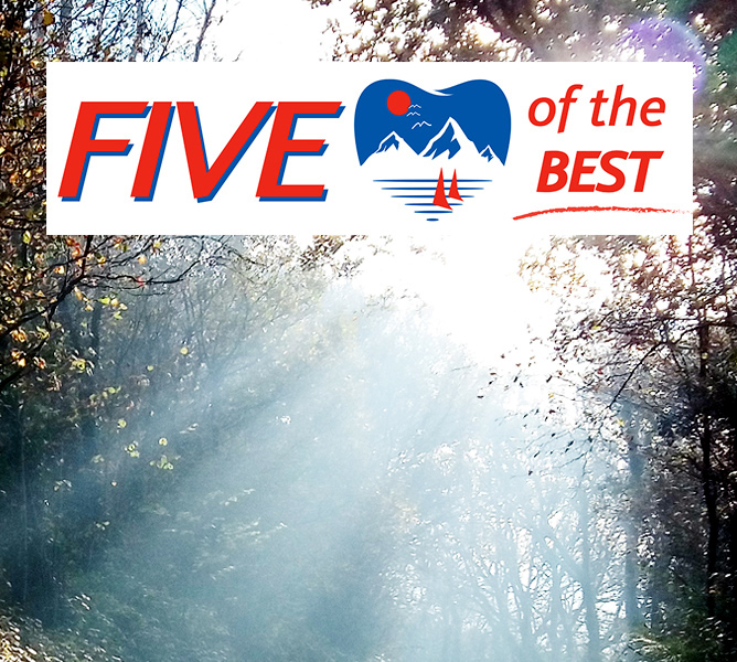 Five of The Best icon on footpath bathed in morning sunlight